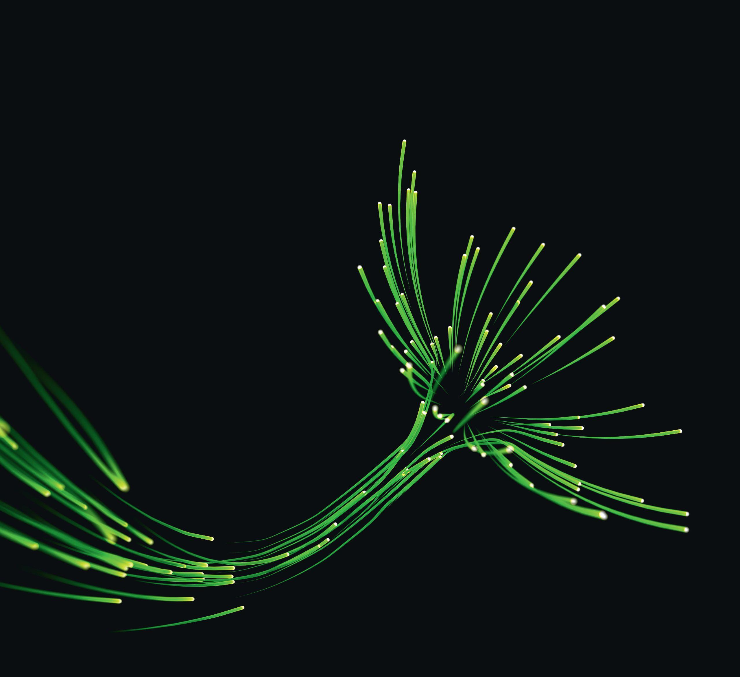 image banner on page about-us